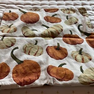 Pottery Barn 18x18 pillow #2